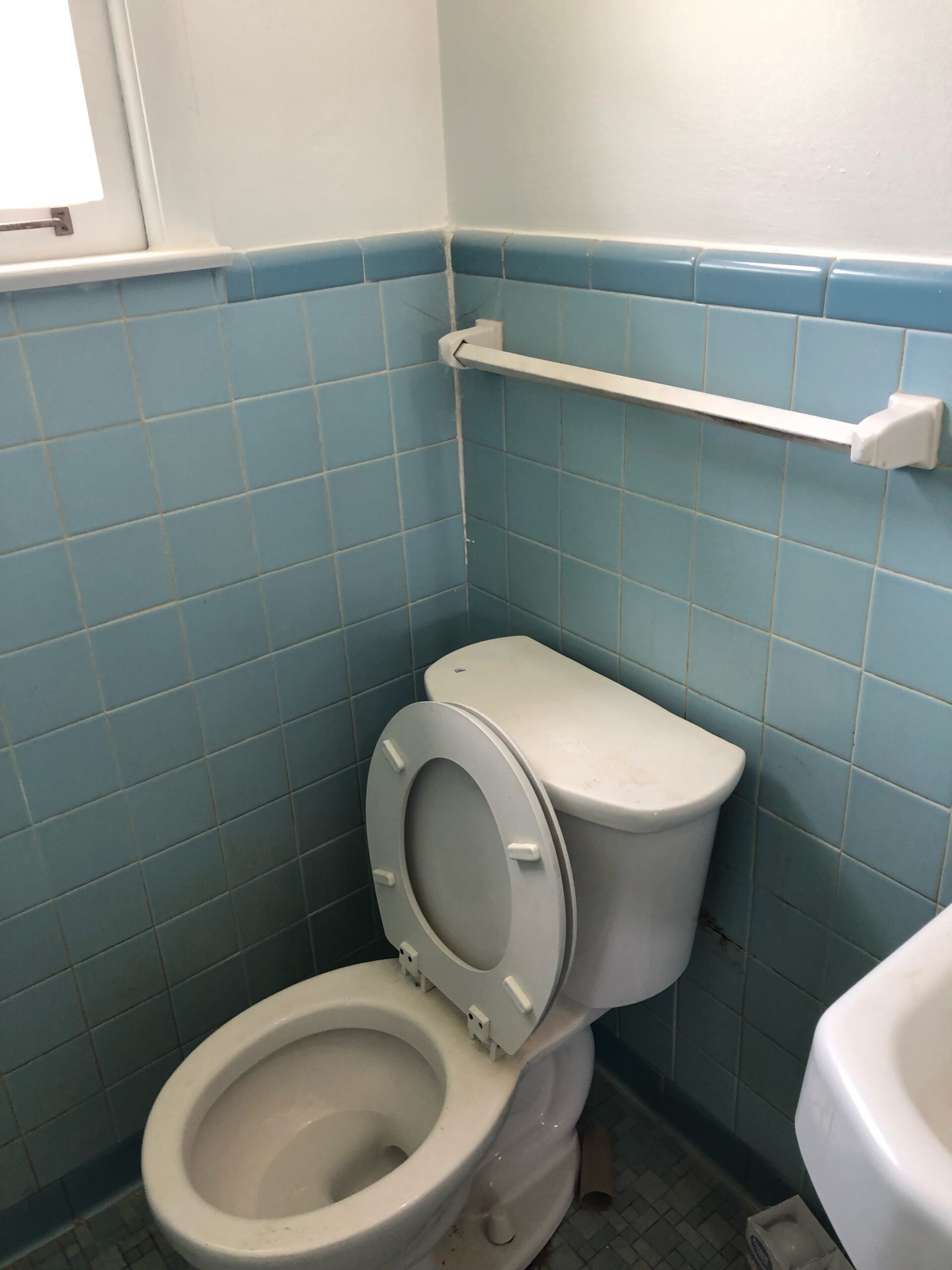 toilet-before-scaled